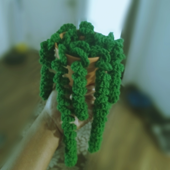 Handmade Dangling Curly Succulent Plant - Picture 3 of 4